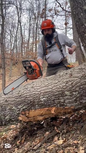 Αναστασης Φουρκιωτης on Instagram: "#husqvarna #logging #chainsaw #lumberjack #forest #forestry #satisfying #wood #axe"