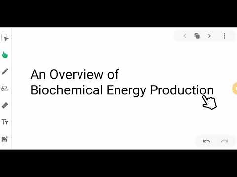 4 STAGES OF BIOCHEMICAL ENERGY PRODUCTION
