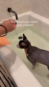 I’m sorry my Lord but you must take a shower for you smell of hot dooky 💩 | The Dark Lord