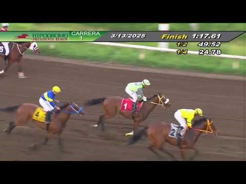 Hará su debut en #larinconada la yegua Americana Rachells Mania (USA) #HIPISMO