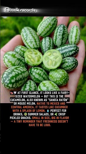 Meet the Cucamelon #history #book_records #interestingfacts