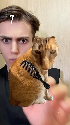 Brush the Cat Challenge