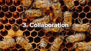 11 reactions | What makes a Millennial tick? Learn how to develop the positive values and characteristics that Millennials bring to the workplace. https://bit.ly/2UNHayG | MindTools.com | Facebook