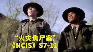 火灾现场惊现一具古怪焦尸，凶手身份成谜难倒警方！《NCIS》第七季第11集