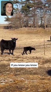 Electric Fence Fails Compilation! 😂#funnyvideos #electricfence #GOAT #funnymoments | Eletric FENCE