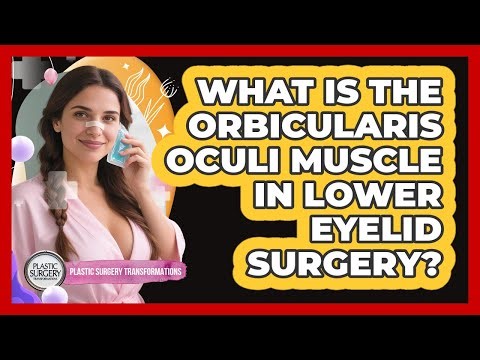 What Is The Orbicularis Oculi Muscle In Lower Eyelid Surgery? - Plastic Surgery Transformations