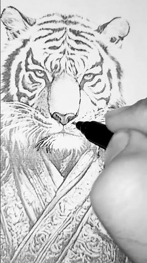Creating a Fierce Tiger | Comic Art by Hand