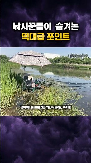 The Best Summer Fishing Spot! Revealing the Scene Where Huge Catches Are Piling Up #CrucianCarpFi...
