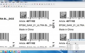 两种特殊的标签的制作（DATA Matrix和带黑框的条形码）