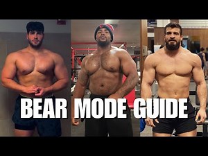 How to Build a Bear Mode Physique
