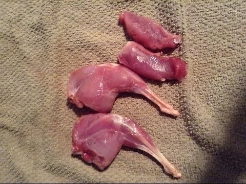 How to Clean a rabbit Fast