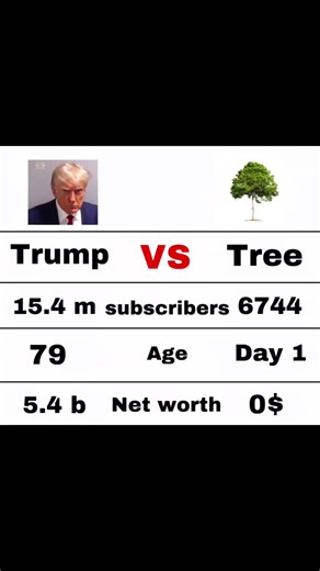 Day 1 #day1 #trumpvstree #viralvideo #usatrending #fyp #wtfclip #comparison