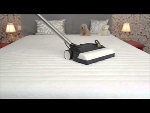 Delphin Vacuum Cleaner - cleaning eliminates mites and mite feces reliable