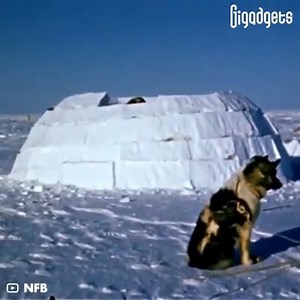Igloo building is an art in the Arctic | GIGadgets
