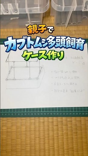 【夏休み工作】親子で挑戦！カブトムシが喜ぶ特大飼育ケースDIY