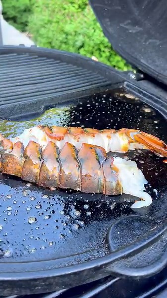 25M views · 242K reactions | The perfect sounds of summer. Enjoying this beautiful lobster from LobsterAnywhere.com and the kids playing outside. I used some seasoning with some spicy flavors and some honey butter to balance it all out. This was so good. 咽#lobster #seafood #grilling #hookedonbbq | Hooked on BBQ | Facebook