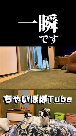 寝る前ルーティン😅