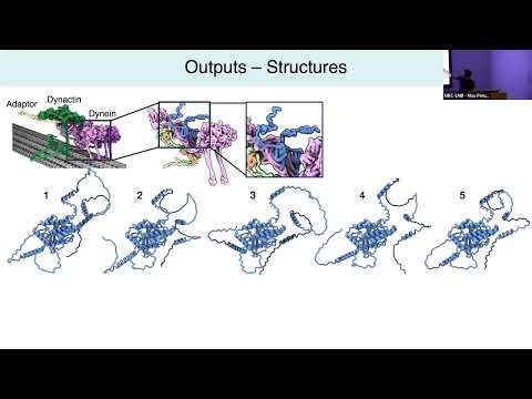[TALK 13] Structure Prediction and Design using AlphaFold – Sami Chaaban
