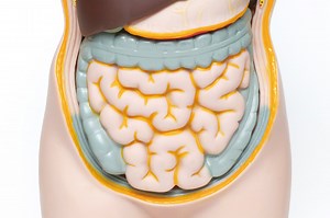 近年、クローン病の食事療法に大きな変化が!? [療養食・食事療法] All About