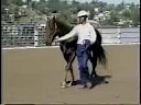 Ground Handling Horses: Leading and Tying, eXtension