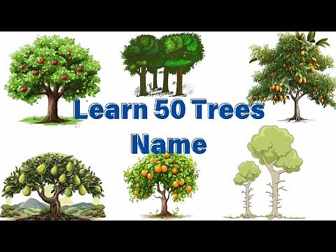 Trees Name in English | 50 Trees Name in English | Trees Name learn 🌳🌱😍