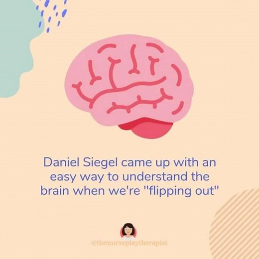 Dr. Dan Siegel's Hand Model of the Brain. 〰️ When we get really upset, or “flip our lids” there’s a disconnect between the Upstairs and Downstairs Brain. (Functional MRI studies show decreased activity in the prefrontal cortex—a part of the Upstairs Brain responsible for higher-order functions) 〰️ The main goal is getting both the Upstairs Brain and Downstairs Brain working together to achieve “vertical integration.” 〰️ This allows us to express emotions calmly, control impulses, think before ac