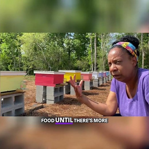 #2 Why Bees Need Sugar Water Prevent Hive Abandonment Explained! #bee