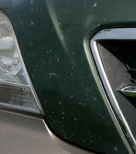 Before & After Gallery - Paintcraft Car Paint Chip Repair