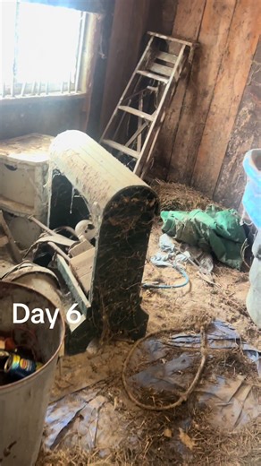 Managing Day 6 of Eviction: Tackling the Barn Cleanup