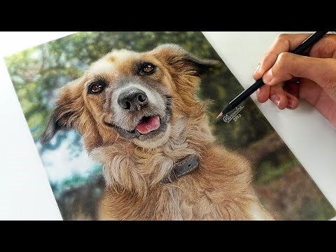 Tutorial de como desenhar um cachorro realista!