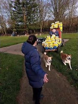 Gru and his minions driving by