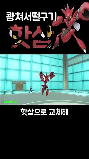 탁쳐서? 아니 쾅쳐서떨구기! 핫삼 [포켓몬스터 스칼렛 바이올렛]