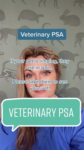 Understanding Your Cat's Pain: Veterinary PSA