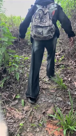 Bukit Lalang Muncak Bukit Panjang – Pemandangan dan Tips Kunjungan