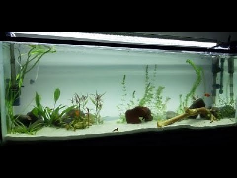 Como Montar un Acuario de 200 Litros!