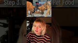 What to Do if a Coyote Attacks You