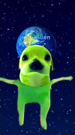 Alien dog ￼