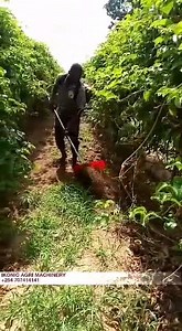 143K views · 872 reactions | INNOVATIVE WEEDING SOLUTION. Ikonic Agricultural Machines has your weeding crisis put in check using motorized weeders!! 3 HOURS, TIME TAKEN TO WEED 1 ACRE. 4 - 5 LITRES, FUEL CONSUMED PER ACRE. Save on Time, Labour and Costs, and Improve Efficiency of Your Weeding process. Inquire! Ask Away! Request for A Free Quote! 0707414141 / 0204402044. | Ikonic Agricultural Machines | Facebook