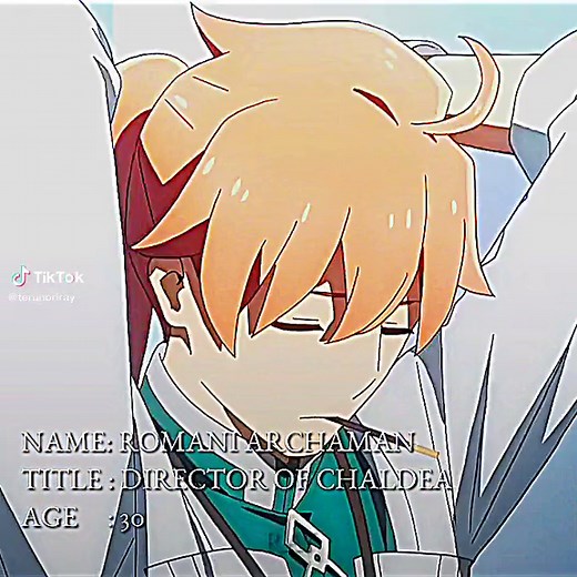 a crown magician#fategrandorderfinalsingularity #fategrandorder #fatestaynight #fate #fateseries #nasuverse #fyp #amv #animeedit #gilgamesh #deathbattle #fgo #goetia #solomon #fategrandordersolomon