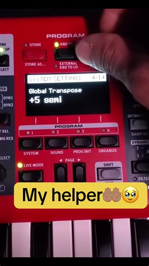 Transpose my helper🥹😂😂😂 #transpose #nord #keyboard #musician #nigeriantiktok🇳🇬