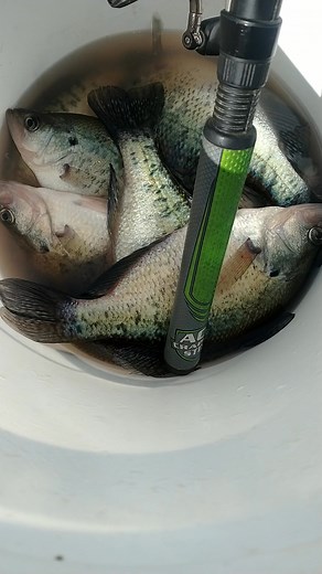 💪🏿🎣🪝 | Ken Nawfside