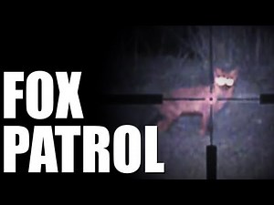 Fox shooting with night vision during lambing