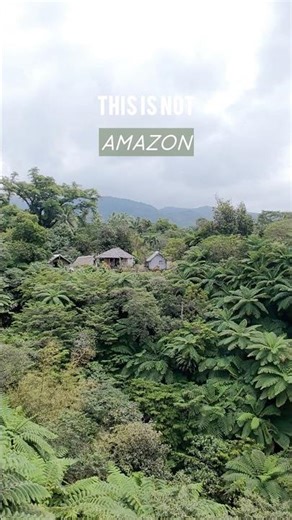 This is Not … #tamil #travel #island #reisen #beach #jungle