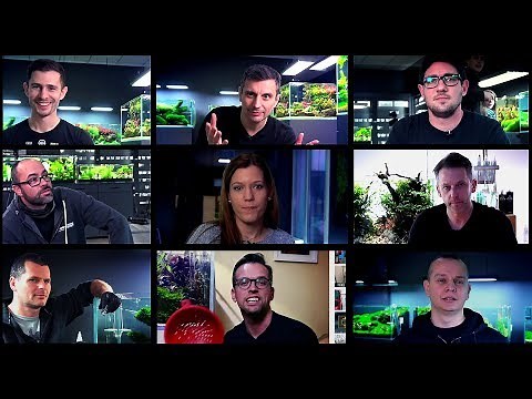 AQUASCAPING TIPS FOR BEGINNERS IN 2019