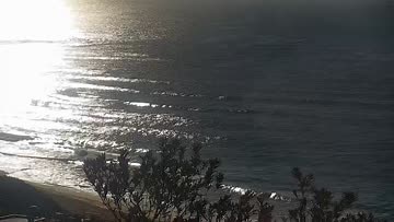 Curl Curl Surf Report, Surf Forecast and Surf Cams - Surfline