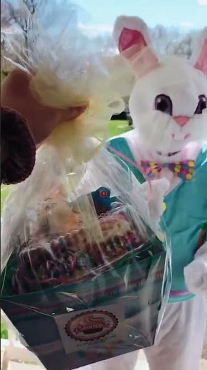 Caked Up #EasterBunny now doing local deliveries! dont... #Shorts #cakedupcafe