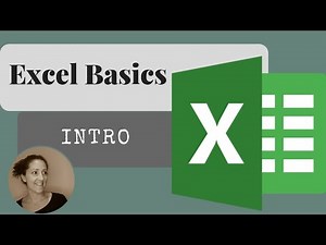 Excel Basics for Beginners and Data Analysts