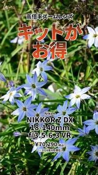 軽くて高画質！ Nikon NIKKOR Z DX 18-140mm f3.5-6.3 VR #shorts
