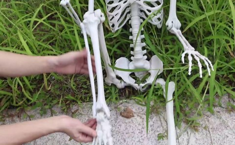 Halloween Skeleton Decor,5.4ft Posable Skeleton Full Body Human Skeleton for Halloween Decorations