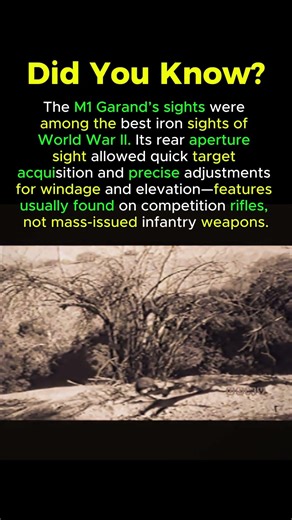 Why M1 Garand Had the Best Iron Sights of WW2 #m1garandhistory #m1garandping #ww2history